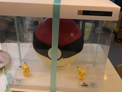 -Dark Horse·黑马蛋糕·低脂·低糖淡奶(金匙望湖大厦店)