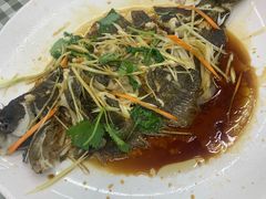 -烁佳海鲜大馅饺子