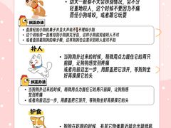 -佩兹宠物医院肿瘤专科·眼科·牙科(黄浦店)