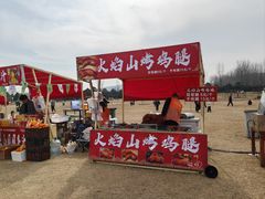 -嵖岈山风景区