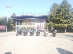 -黄海国家森林公园