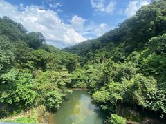 -鼎湖山风景区