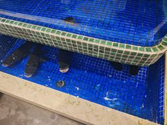 -巴陵全鱼席(湖南老字号汴河街店 )