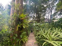 -中国科学院西双版纳热带植物园