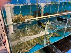 水产区-阿四台山黄鳝饭(东门店)