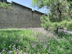 -北陵公园