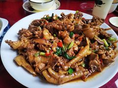 现杀果园鸡—黄焖鸡-生态苑农庄(十里画廊遇龙河店)