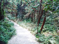 -天花井景区