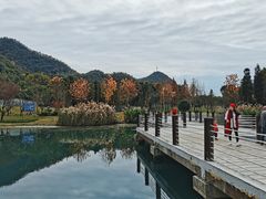 -贵阳市花溪国家城市湿地公园