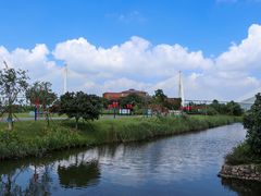 -芒洲湿地公园