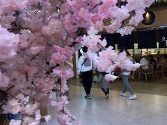 -茶马花街(城西银泰城店)