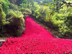 -焦作青龙峡风景名胜区