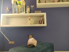 -Heymao猫咖.咖啡厅(东门店)