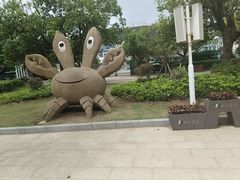 -朱家尖南沙景点