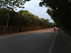 -七宝中学游泳馆