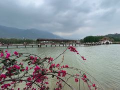 -星湖旅游景区七星岩