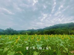 -石塘人家