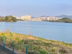 -立新湖公园