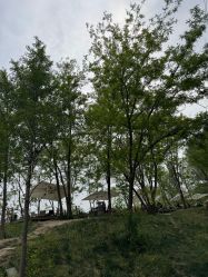 -268童话露营农场·烧烤·团建