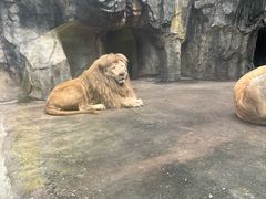 -南昌动物园