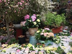 -双季花艺园艺市场(浦东店)