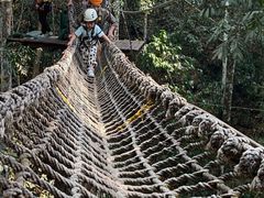 -西双版纳原始森林公园