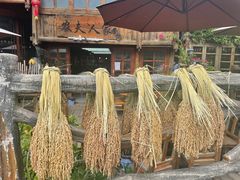 -农夫人家餐饮