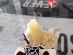-喜利来动物奶油生日蛋糕(黄金大厦店)