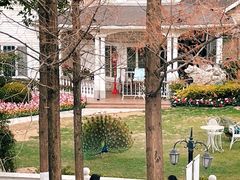 -J Create城市露营咖啡·简餐·宠物(上海动物园店)