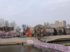 -桃花堤公园