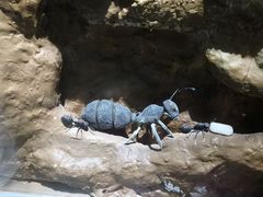 -上海昆虫博物馆