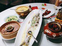 -沪碟·精菜坊(闵行店)