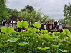 -沐仙湖湿地公园