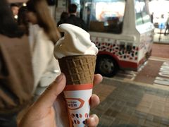 -富豪雪糕车流动点(尖沙咀店)