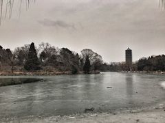 -北京大学赛克勒考古与艺术博物馆
