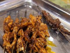 -福苗小骆驼烧烤(大唐不夜城店)