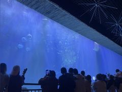 -华夏文旅西安度假区