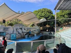 -泉州海丝野生动物世界