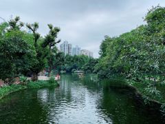-晓港公园