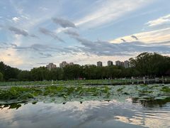 -太阳宫公园