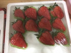 -红星农博物流中心