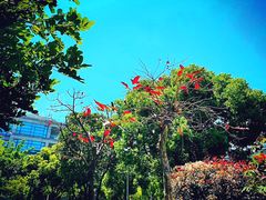 -厦门国家会计学院