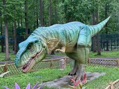 -黄海国家森林公园