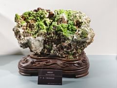 -甘肃地质博物馆