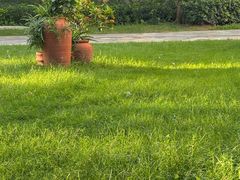 -酒肆浅葱·特色菜馆(卓悦intown店)