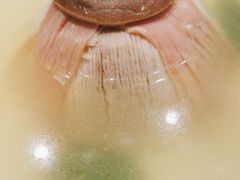 -品悦酒店(三林古镇店)