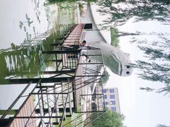 -东方巨龟苑景区