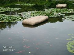 -白马涧龙池景区