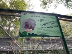 -呀诺达热带雨林