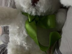 -幻物社(万象天地店)